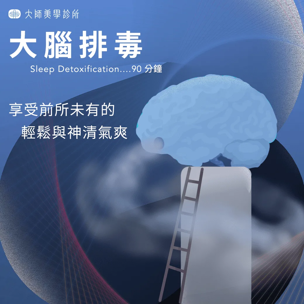 大腦與腦脊髓液循環的示意圖，標示腦脊髓液在腦組織周圍流動、協助帶走代謝廢物的路徑