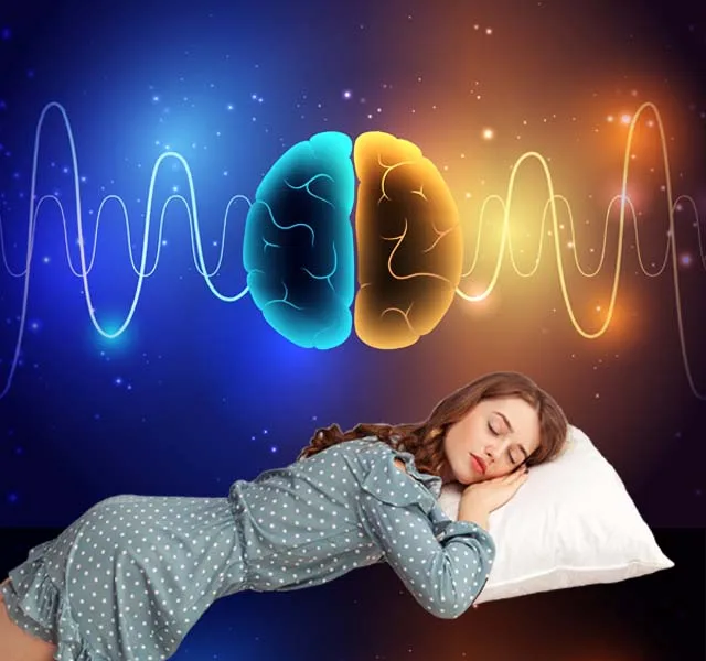 睡眠過程與大腦活動的衛教示意圖，說明睡眠並非單純休息而是大腦持續運作的過程