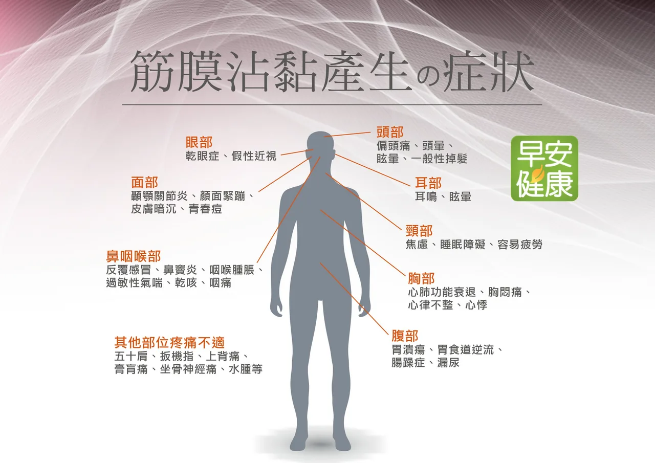 肌筋膜層次示意插圖，呈現筋膜在正常與張力升高狀態下的差異，用於肩頸痠痛衛教說明