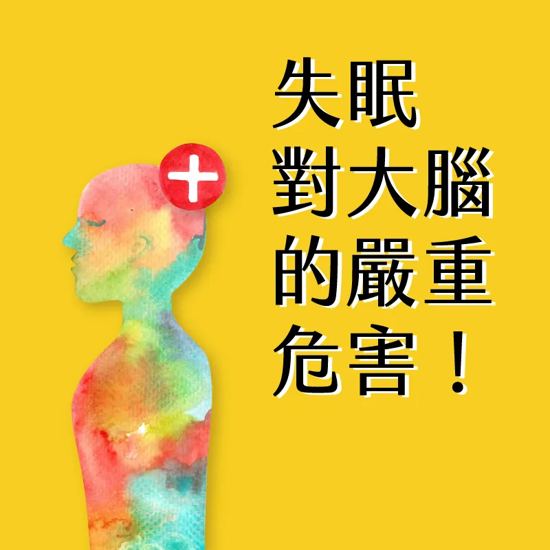 示意插圖：呈現睡眠與大腦的衛教概念，描繪夜間睡眠與腦部運作的關聯。