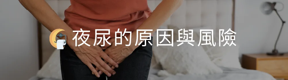 睡眠檢查與上呼吸道評估等診斷流程的衛教示意插圖
